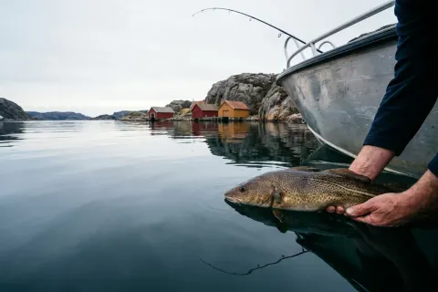 Bærekraftig turistfiske og gjenutsetting av fisk