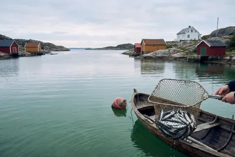 Turistfiske på Sørlandet etter torskefredningen